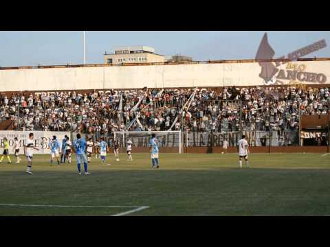 "La Hinchada Calamar | Platense 2 - 1 Villa San Carlos | Fecha 01 | Campeonato 2015" Barra: La Banda Más Fiel • Club: Atlético Platense