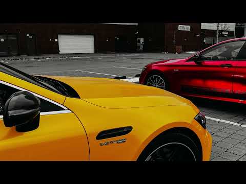 Saffron Bane, Gibb - Dogdlol