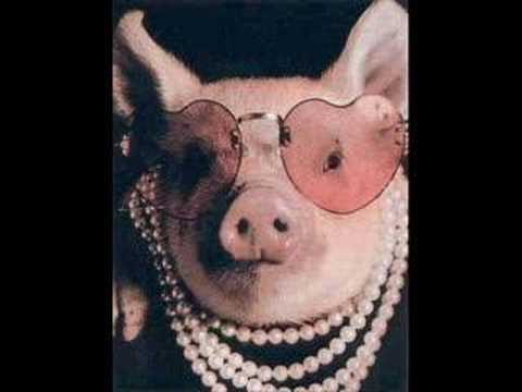 Werner & Werner - Vår julskinka har rymt