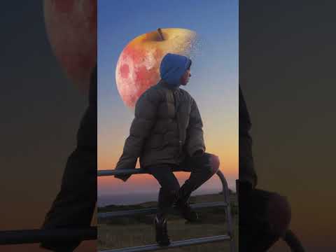 Andy In Stereo - Hand Habits
