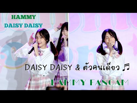 20220312 DaisyDaisy - Hammy DAISY DAISY Daisy Daisy&ตัวคนเดียว ♬ Peachyou Home Room @Donki 4k Fancam