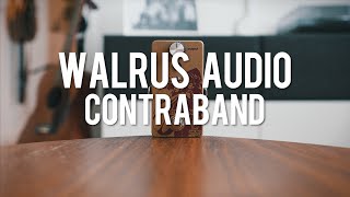 Video thumbnail for Walrus Audio Contraband (demo) by Living Room GD