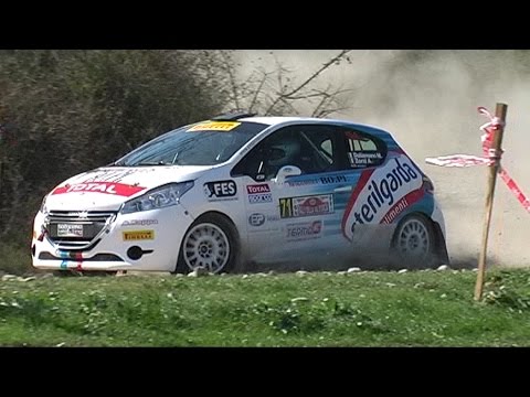 RONDE DELLA VAL D' ORCIA 2015 DALLAMANO ZORZI PEUGEOT 208