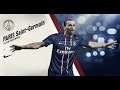 Zlatan Ibrahimovic All Goals For PSG Season 2012 2013 HD