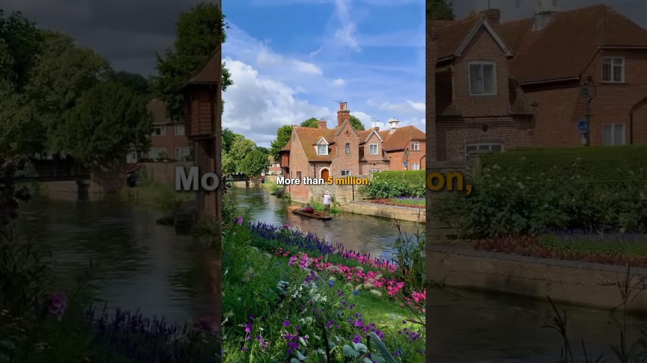 New Zealand – the world’s loneliest paradise with no snakes, endless oceans. #place #travel #shorts