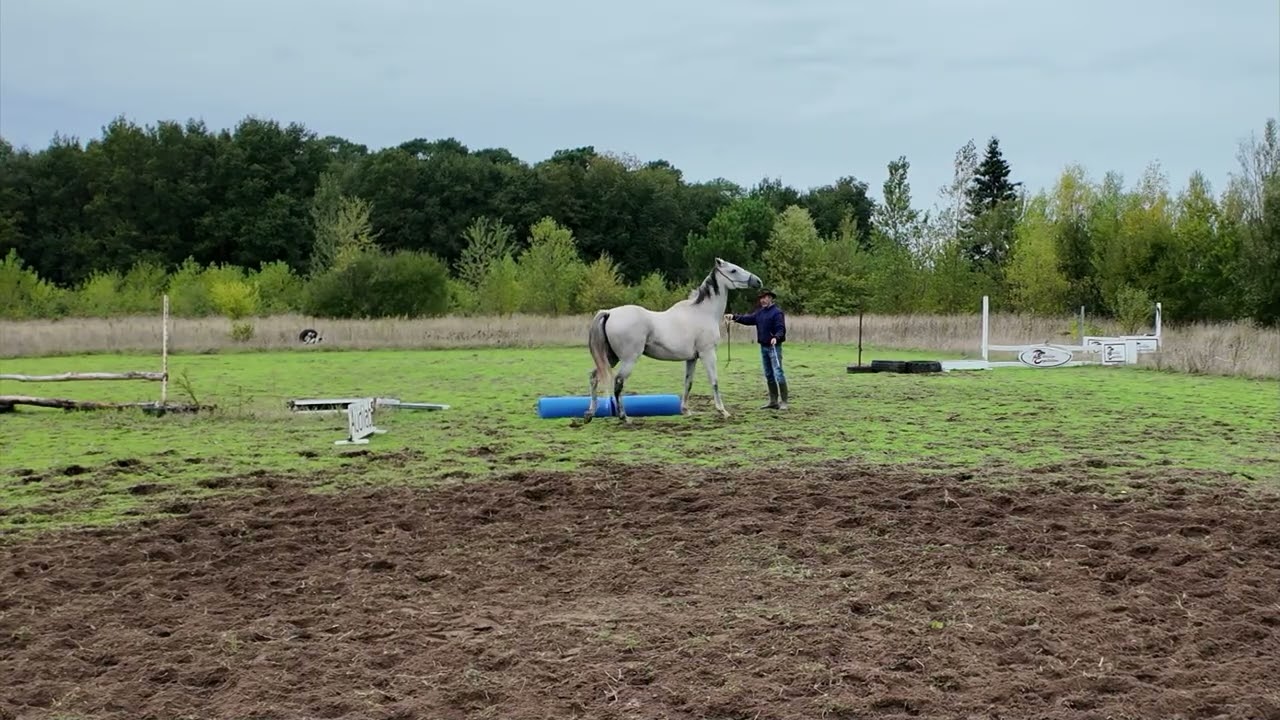 1er seance hors paddock