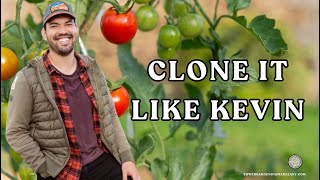 Clone It Like Kevin~ Learn How To Propagate Tomato Plants In Your #towergarden #verticalfarming
