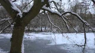 Stina Nordenstam - Winter Killing lyrics