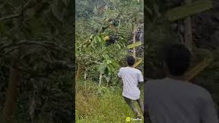 Download lagu Story wa 30 detik lucu😂😂cocofun terbaru mp3