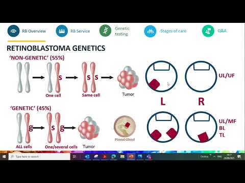 Recording of Childhood Eye Cancer Trust Online Genetics Information Evening