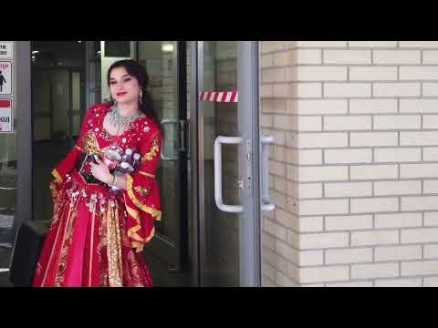 Don Vasyl, Cygańscy Książęta, Dziani, Elza, Margaritta.   Koncert Ostróda 25.05.2024r.