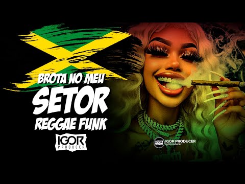 BROTA NO MEU SETOR vs Reggae Funk Remix 2025 @igorproducer