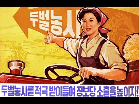 Pochonbo Electronic Ensemble - Young People of the Farm