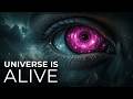 The Universal Brain Is The Universe A Living Conscious Entity