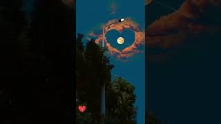 Download lagu Bye Bye Miss Good Night Song Saajan Chale Sasural Govinda and Tabu Status Video Love Song #short mp3