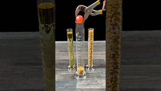Making Popcorn With 1000°C RHCB ! #experiment #popcorn