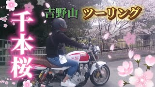 #65【モトブロ】吉野山の千本桜を見に行くぞ！