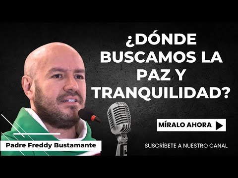 Where do we look for peace and tranquility? - Father Freddy Bustamante