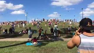 Hermann Park Kite Festival 2015