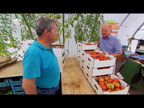 made in Südwest Tante Emma auf Rädern   Mit HEIKOs rollenden Supermärkten durch die Eifel