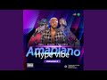 AMAPIANO HYPE VIBE, Vol. 2