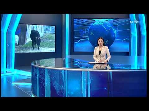 Özünəməşğulluq xidmətinin təlimləri