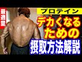 【最適量・タイミング】プロテイン摂取方法を解説!デカくなるためにこれだけは押さえておこう!
