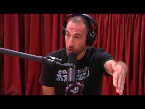 Working the 9-5 Rat Race | Joe Rogan