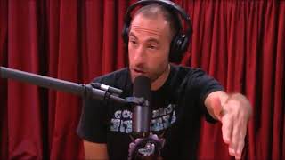 Download lagu Working the 9-5 Rat Race | Joe Rogan mp3