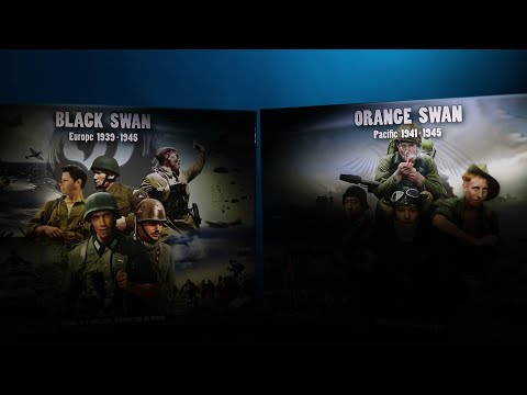 Orange Swan: Rules Differences with Black Swan 