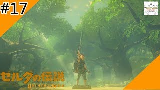 やきめしが行く!ゼルダの伝説　ブレスオブザワイルド　part17