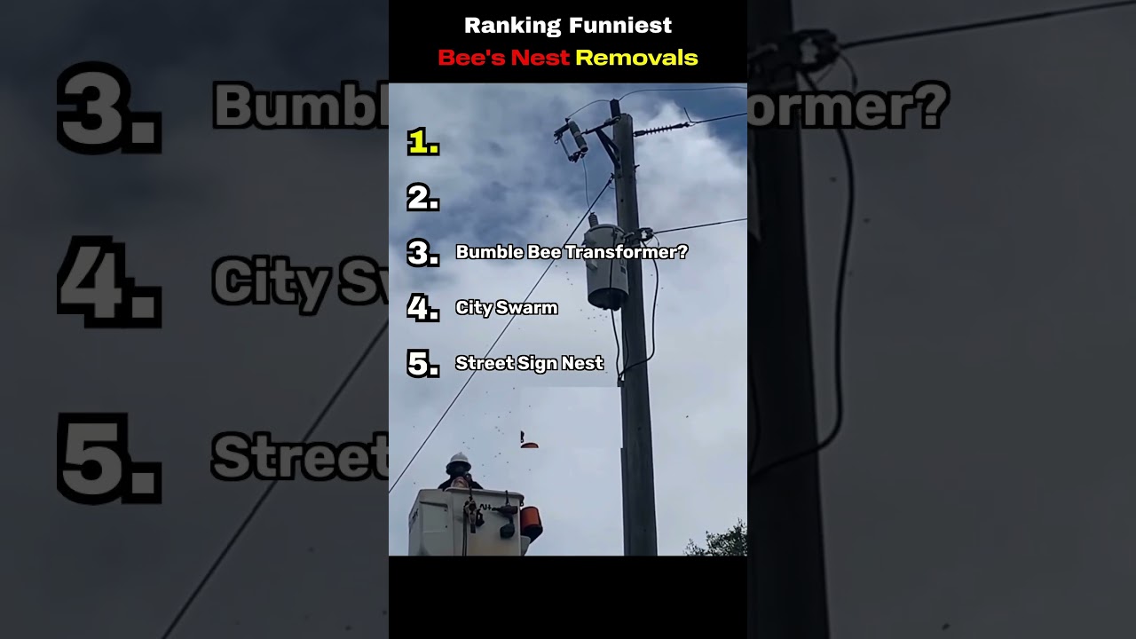 Comment Your Fav! 😁