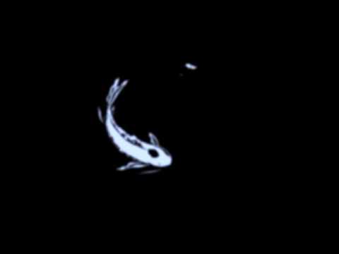 Video thumbnail for Surprise