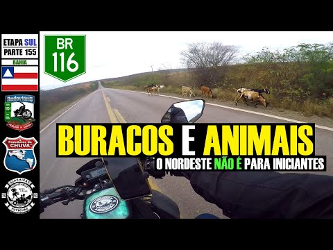 SUL 155: De BEDENGÓ, CANUDOS/BA até CHORROCHÓ/BA pela BR-116, VIAGEM de MOTO no NORDESTE #factor150