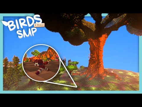 Chespi Cash - It's Not About The Size! - Birds & Bugs SMP EP 1 - Modded Minecraft Origins