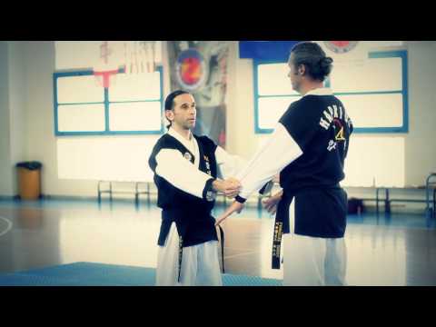 WHF International Seminar, Greece 2012, Master Vangelis Thanos