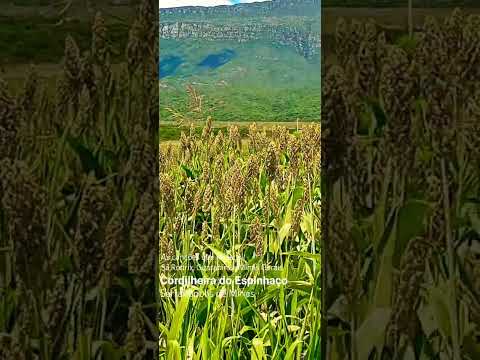 Serranópolis de Minas _MG