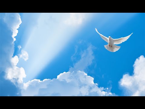 43. János evangéliuma (képekkel illusztrált), Károli Biblia, János teljes, Újszövetség