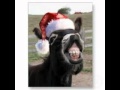 Lou Monte. Dominick The Donkey (The Italian ...
