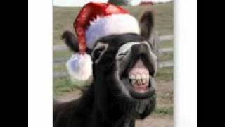 dominick the donkey the italian christmas donkey lyrics sung by - Dominick The Donkey Christmas Song dominick the donkey the italian christmas donkey lyrics sung by - Dominick The Donkey Christmas Song