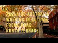 Adelaide Australia Walking in Autumn Frome Road and North Terrace