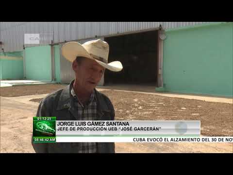 Cuba: Livestock recovery project is being implemented at the Eastern Genetic Livestock Company