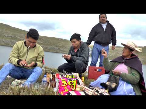 5 CANIPACO QUERIDO purito zona altina.