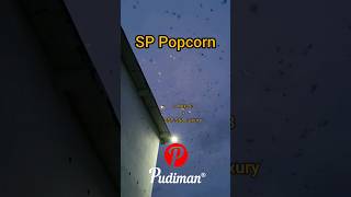 Download lagu Suara Panggil Burung Walet Terbaru dan Tidak Ada di Pasaran #rumahburungwalet mp3