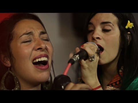 Mama Gaia - Show Completo - PelaGatos