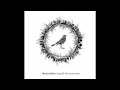 Marissa Nadler - My love and I