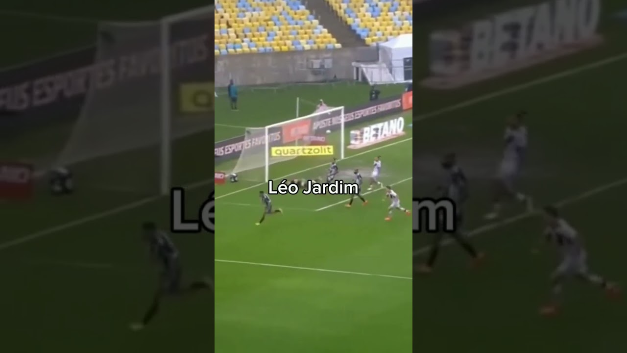 Comente o próximo goleiro #goleiroleojardim #EDIT #famosoporfavo