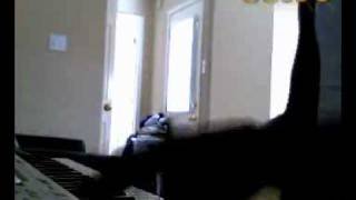 Royal Tailor Black and White Piano Cover