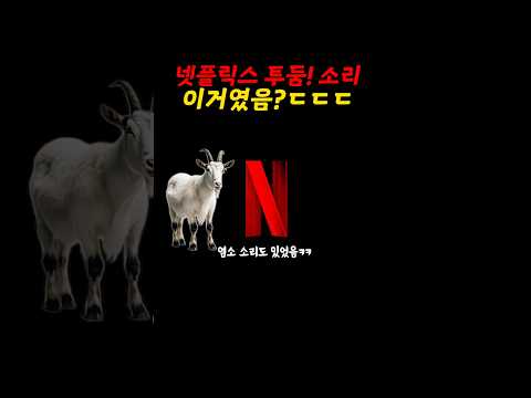 넷플릭스 인트로 소리의 진실ㄷㄷㄷㄷㄷ
