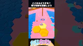 ここからどうする？【Fall Guys/フォールガイズ】